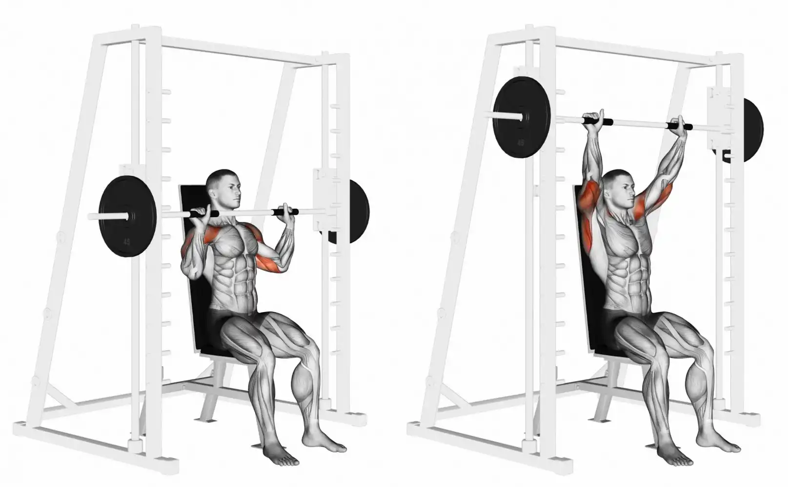 Các bài tập cơ vai cho nam: Đẩy tạ trên máy - Smith Machine Overhead Shoulder Press