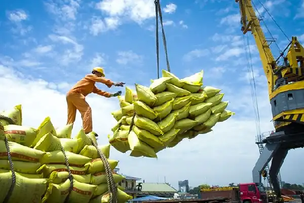 Đánh giá bức tranh kinh doanh: Những phát hiện chính từ khảo sát nửa cuối năm